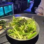 シグマ ポチャ - 