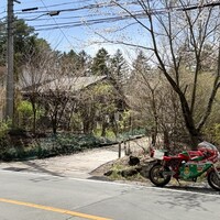 フォリオリーナ・デッラ・ポルタ・フォルトゥーナ - 