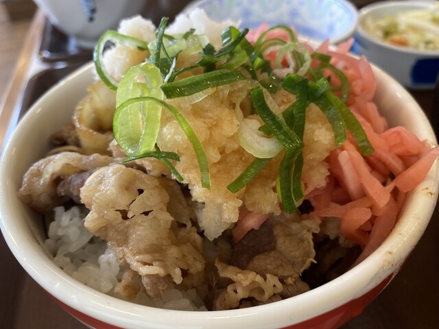 Sukiya Higashikurumeshimozatoten photo 2