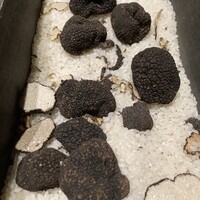 アルティザン ドゥ ラ トリュフ パリ - 