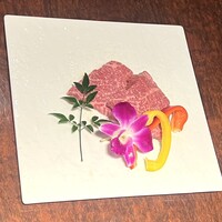 黒毛和牛焼肉 虎斑 北新地店 - 