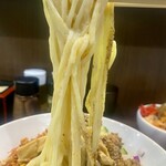 ヌードル＆スパイスカレー 今日の1番 - 冷たい担々麺の麺リフト　1/2
