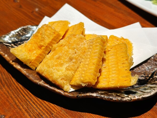 Shikon Shintenchi photo 3