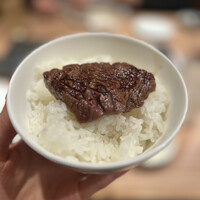 焼肉ホルモン 稲田 - 