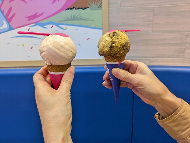 サーティワンアイスクリーム ウイングベイ小樽店 - 小樽築港（ジェラート・アイスクリーム）の写真