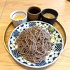 細うどん よしの江 - 三種のつけ汁 ざるうどん大盛り（1,130円）