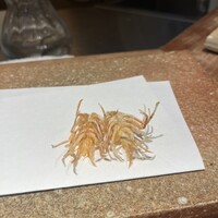天ぷら 大坂屋 草哲 - 