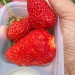 館山いちご狩りセンター - 