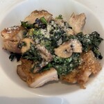 ノガラッツァ - 