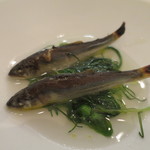 アルシミスト - 稚鮎　トマト　バジル