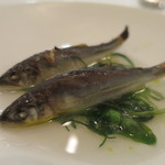 稚鮎　トマト　バジル