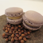 アルシミスト - 麦茶のマカロン