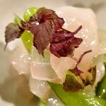 賽 - 真鯛とスナップえんどう 酒盗オイル