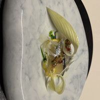 TACUBO - 