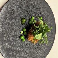 TACUBO - 