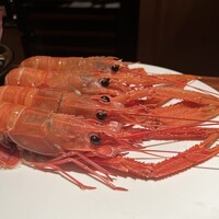 蒼 - 