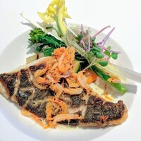 アンフュージョン - 越前· 三国 ·大分 ·佐伯など全国から届く鮮魚( 黒鯛 )のポワレ  浜名湖産青海苔と駿河湾の桜エビのソース