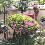 タイ料理 SaamRoa - 