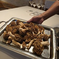 ウシマル - 