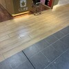 にしき堂 広島駅エキエ1号店