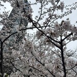 ニルヴァーナ ニューヨーク - 