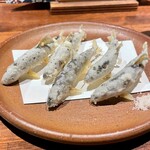 酒と肴 ててて - 泳いでる〜！もう稚鮎の季節！てててに来たらこの日ぜったい有ると思っていました