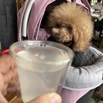 そば処 湧水 - 蕎麦湯割で乾杯♪