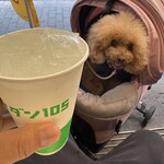 ダパイダン105 - プレーンチューハイ