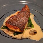 フレンチ大衆食堂 ボッチ - 