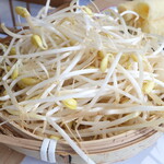 棒棒君 - 大粒黄豆芽