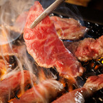 新宿ホルモン焼き だるま - 