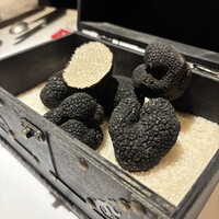 マルゴット エ バッチャーレ - 
