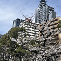 焼肉 徳川苑 -  焼肉 徳川苑 -