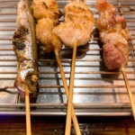 쿠시키치 2호점 - 꼬치튀김(시샤모)・꼬치구이・닭꼬치