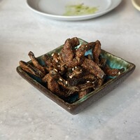 CINA New Modern Chinese - 