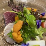 Motivo ワインと料理 - ウニ、鰹、サワラの贅沢サラダ♡