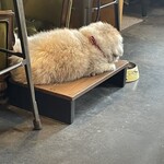 バーグハック - 