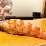 鮨 はしもと - 2025.4.  車海老