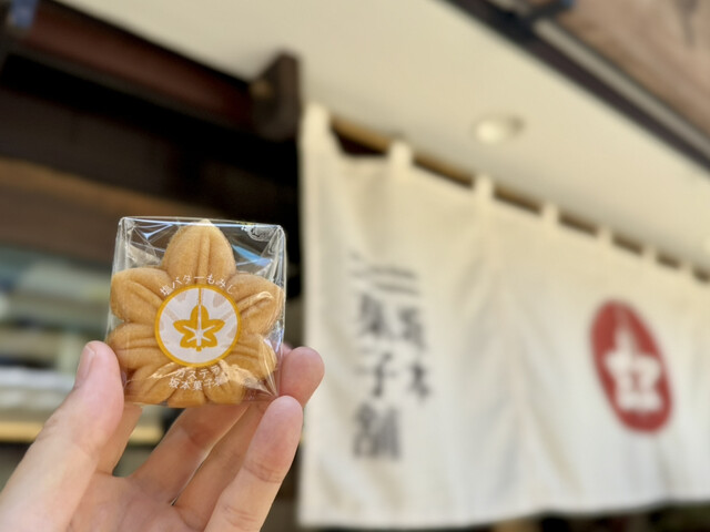 Sakamoto Kashiho photo 2