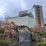 肉割烹 赤坂喰心 - ホテルニューオータニの桜（今回は泊まって無いけど）