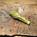 ななしの庵 - 天ぷら5　タラの芽