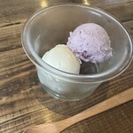 インソムニア - 