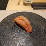 鮨 なんば - 縞海老