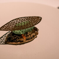 ブレストンコート ユカワタン - 