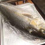 清龍酒造 - カンパチ