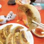 木蘭 - 1つがかなり大きめです