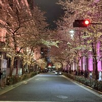 タパス モラキュラーバー - 