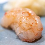 うを徳 - 2025.4 羽幌産ボタン海老