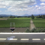 Opus One Winery - 
