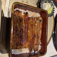 うなぎ 目白ぞろ芽 - 